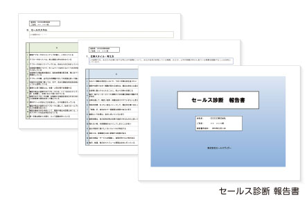 セールス診断 報告書